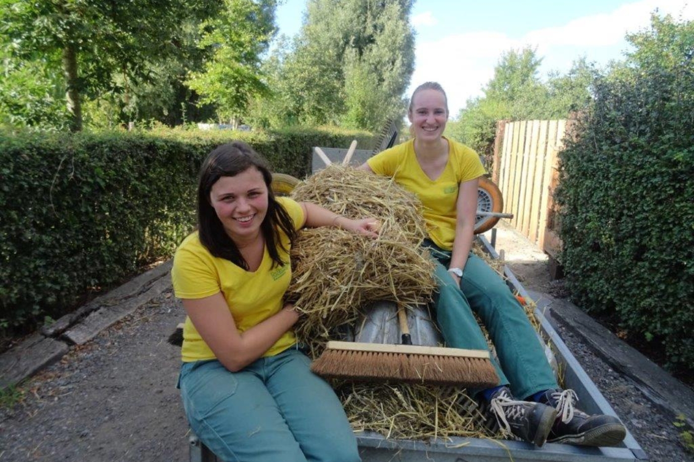 Dierenverzorger voor een dag
