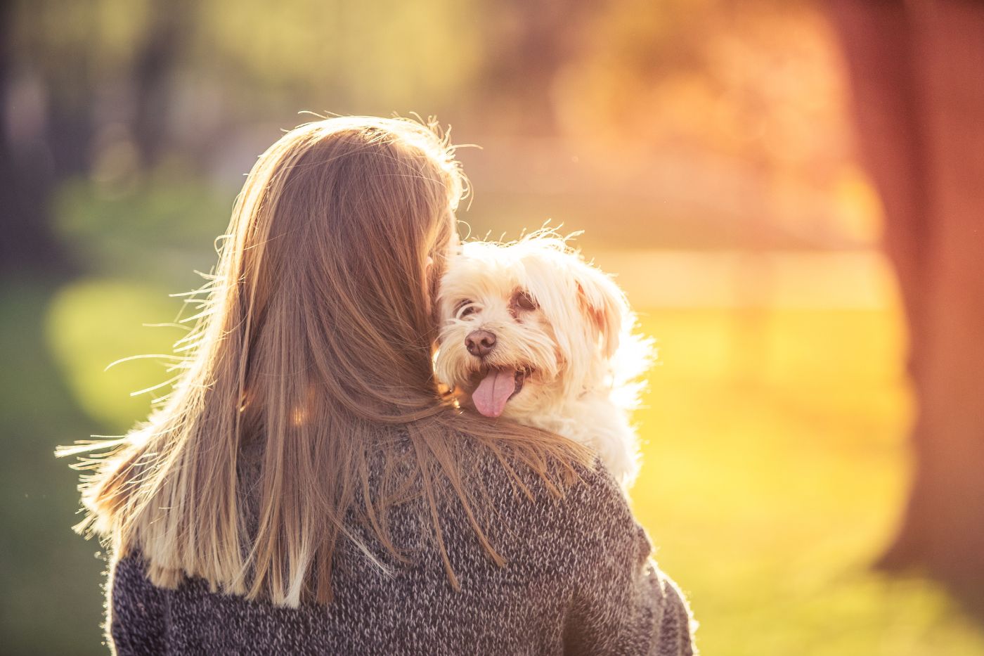 dieren cadeau